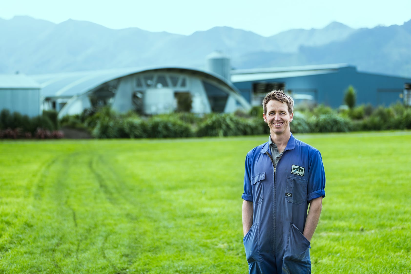 Produkcja mleka następnego